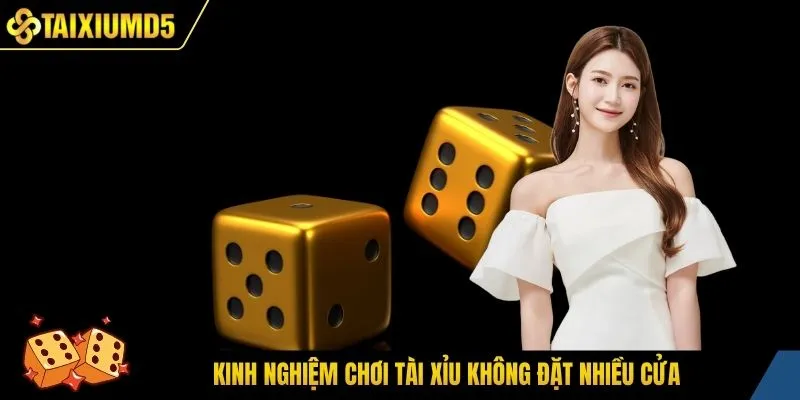 Kinh nghiệm chơi tài xỉu không đặt nhiều cửa